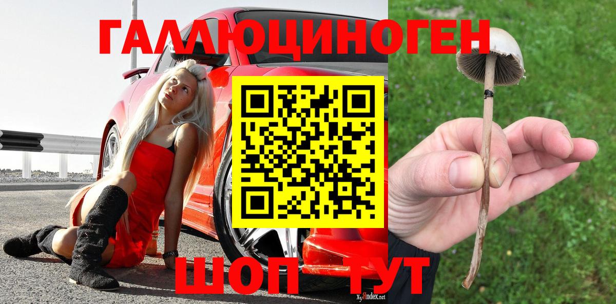 Псилоцибиновые грибы мицелий  Вход с VPN  Верхняя Салда 
